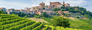 Vintage Report: 2021 in Piedmont