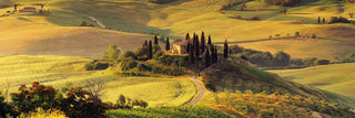 The Rise of the Super Tuscan
