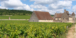 Episode 3 - Founding Burgundy