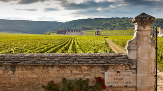Vintage Report: 2022 in Burgundy