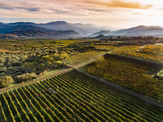 Sicily