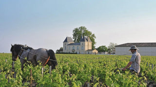 Chateau Margaux