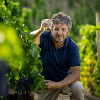 Alvaro Palacios