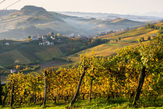 Barolo
