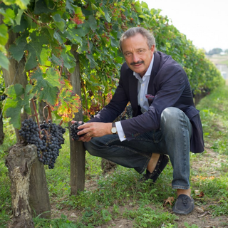 Chateau Canon-la-Gaffeliere