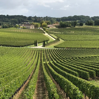 Chateau La Mondotte