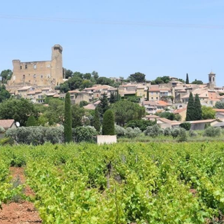 Clos des Papes