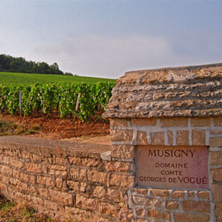 Domaine Comte Georges de Vogue