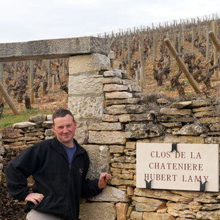 Domaine Hubert Lamy