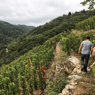 Domaine Jean-Louis Chave