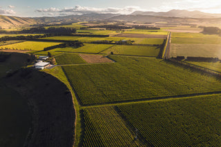 Martinborough