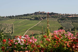 Fontodi