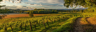 Friuli-Venezia Giulia