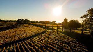 Chateau La Mission Haut Brion