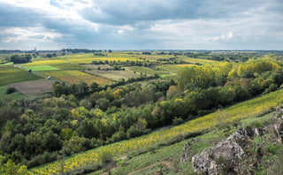 Domaine Belargus