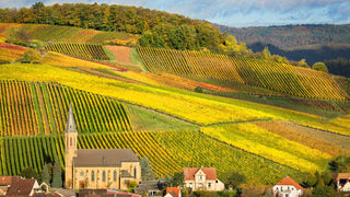 Pfalz