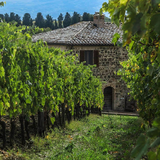 Pian Dell' Orino
