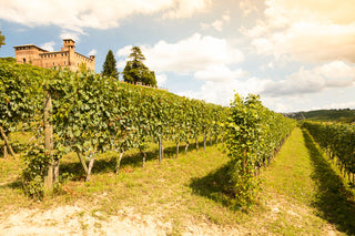 Piedmont (Test 1)
