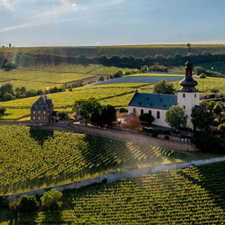 Rheinhessen