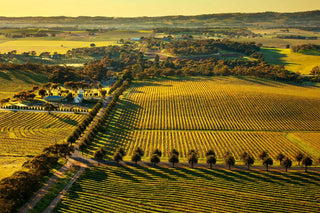 Mclaren Vale