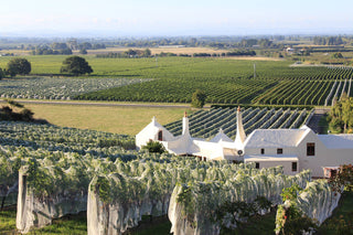 Te Mata