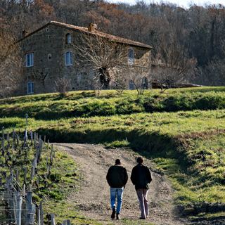 Tenuta di Trinoro