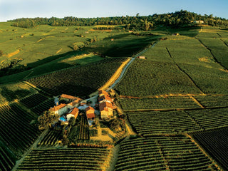 Gaja