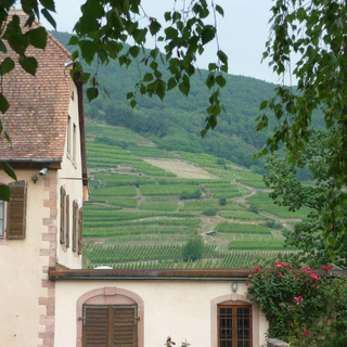 Weinbach