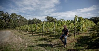 Hoddles Creek