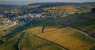 Bonneau du Martray