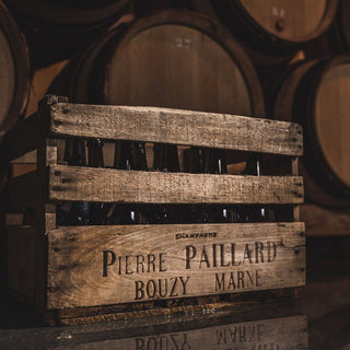 Pierre Paillard