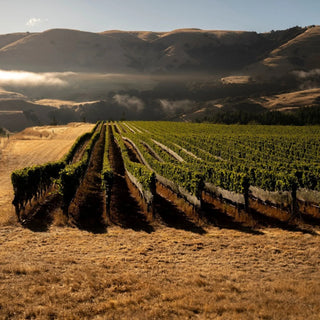 Hawkes Bay
