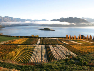 Rippon