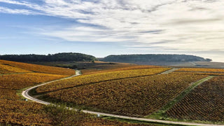 Domaine William Fevre