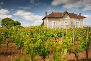 Chateau Bellevue-Mondotte