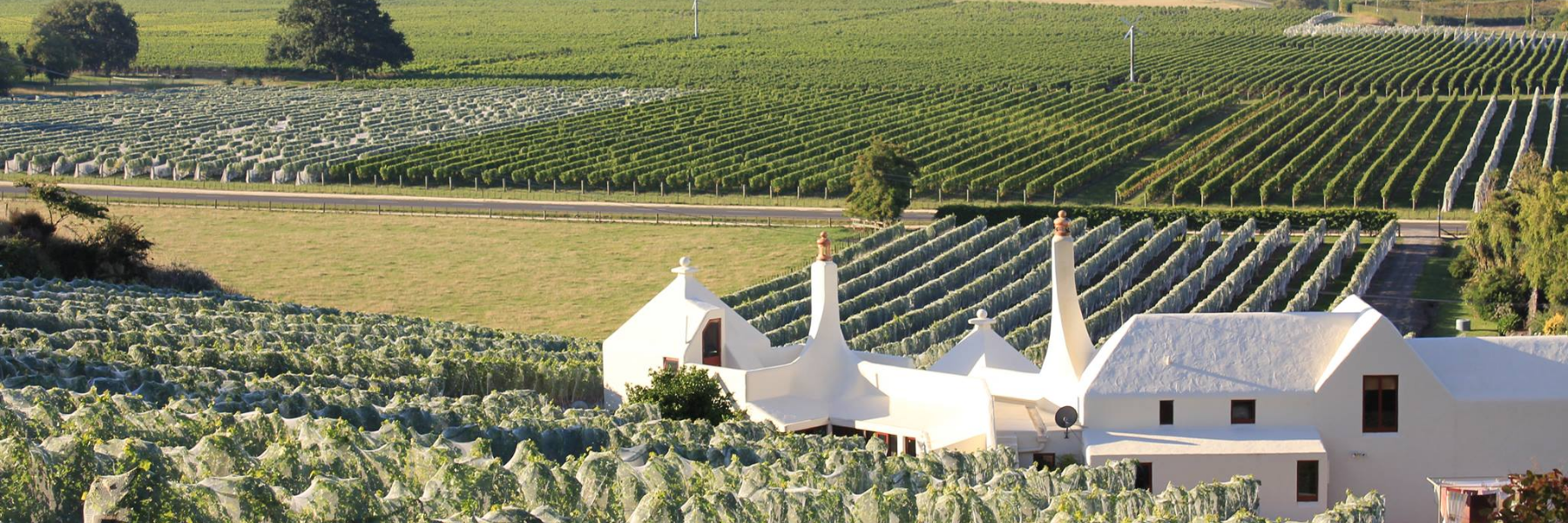 Te Mata