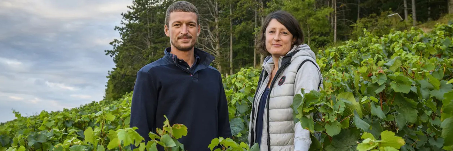 /collections/domaine-francois-raveneau