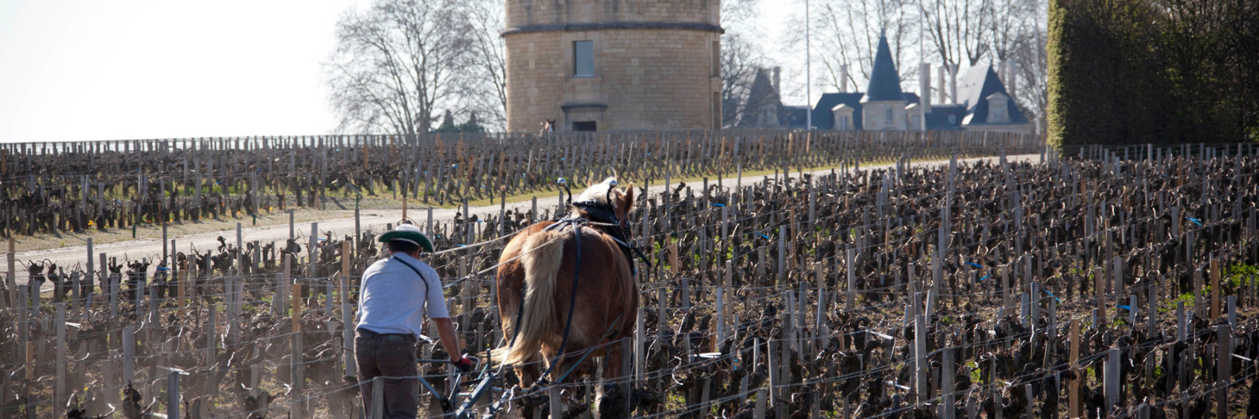 Chateau Latour