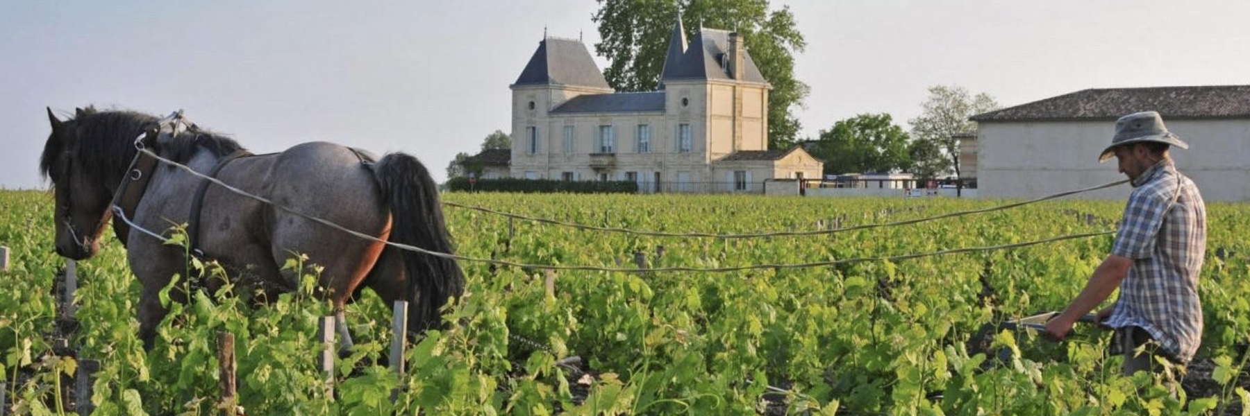 Chateau Margaux