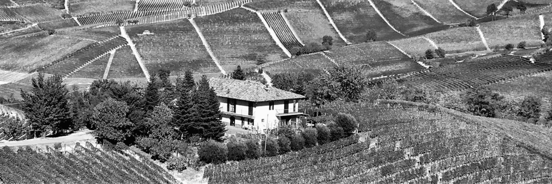 Bruno Giacosa