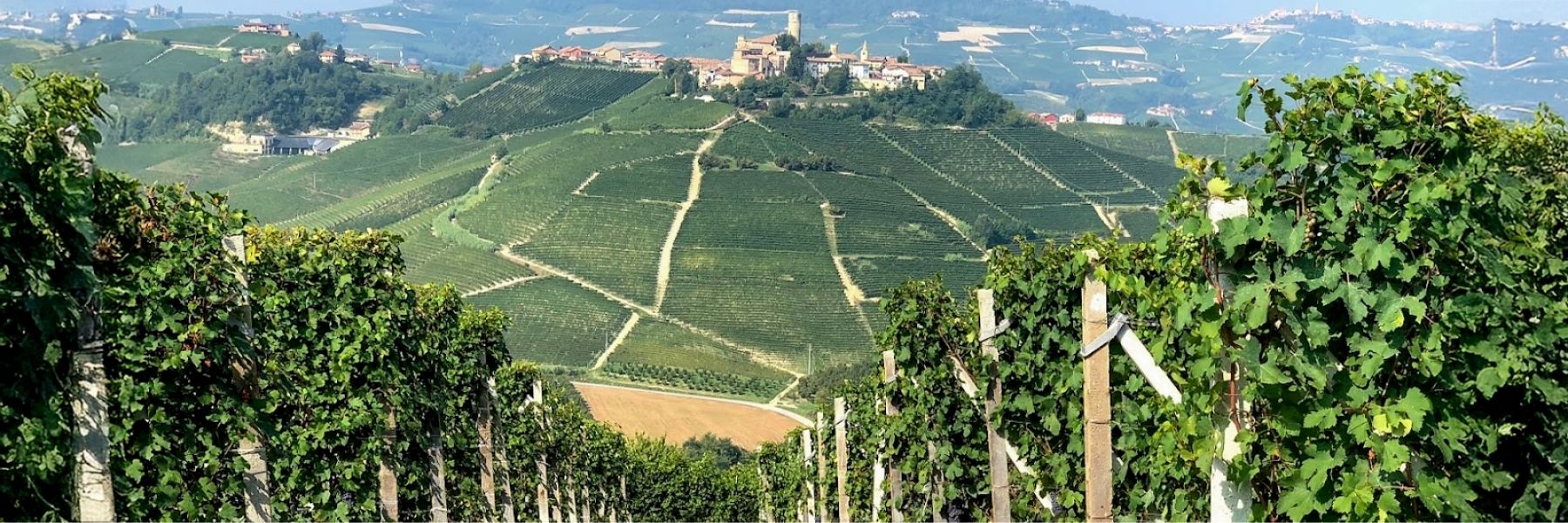 Bruno Giacosa