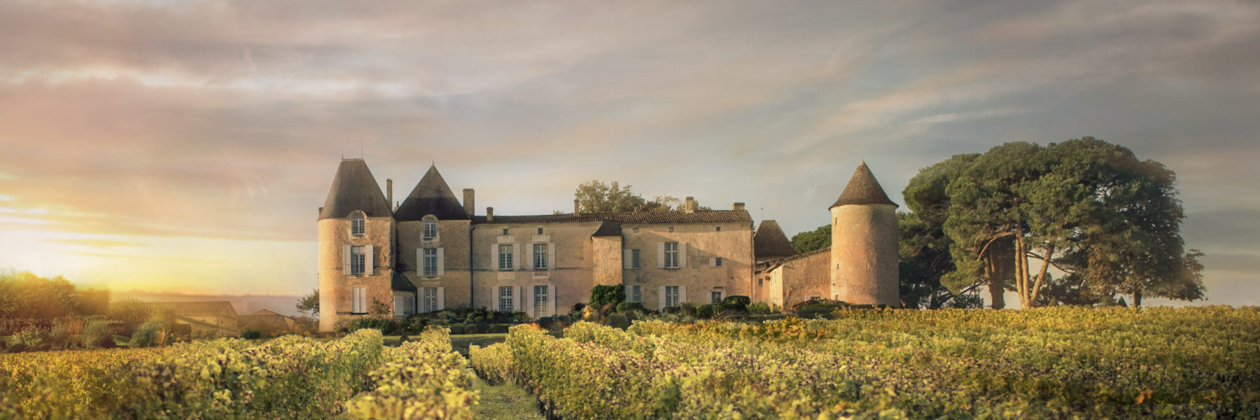 /collections/chateau-dyquem