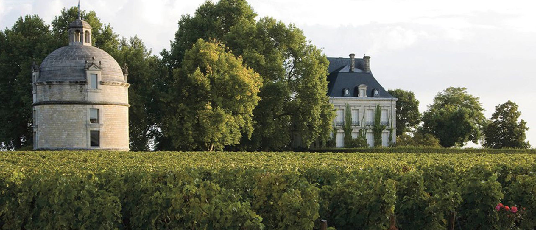 /collections/chateau-latour