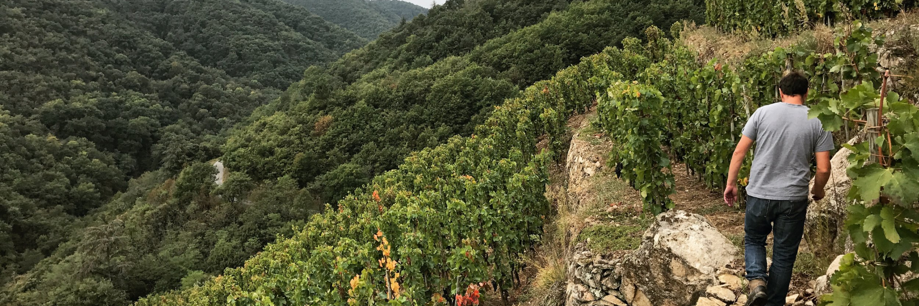 Domaine Jean Louis Chave
