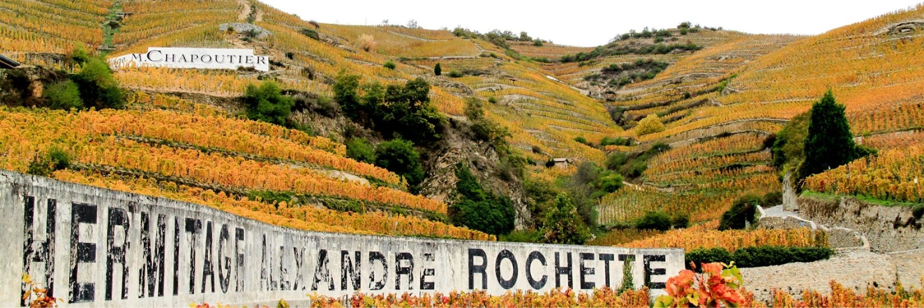 Domaine Jean Louis Chave