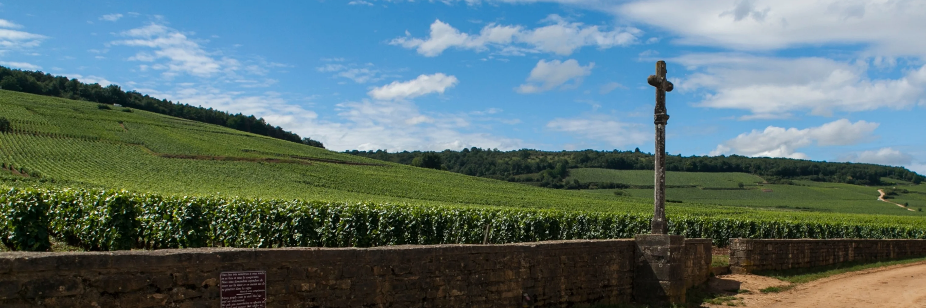 Domaine de la Romanee Conti 