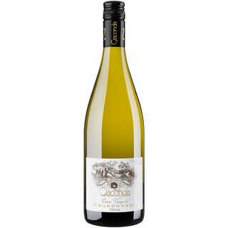 Giaconda Chardonnay 2023
