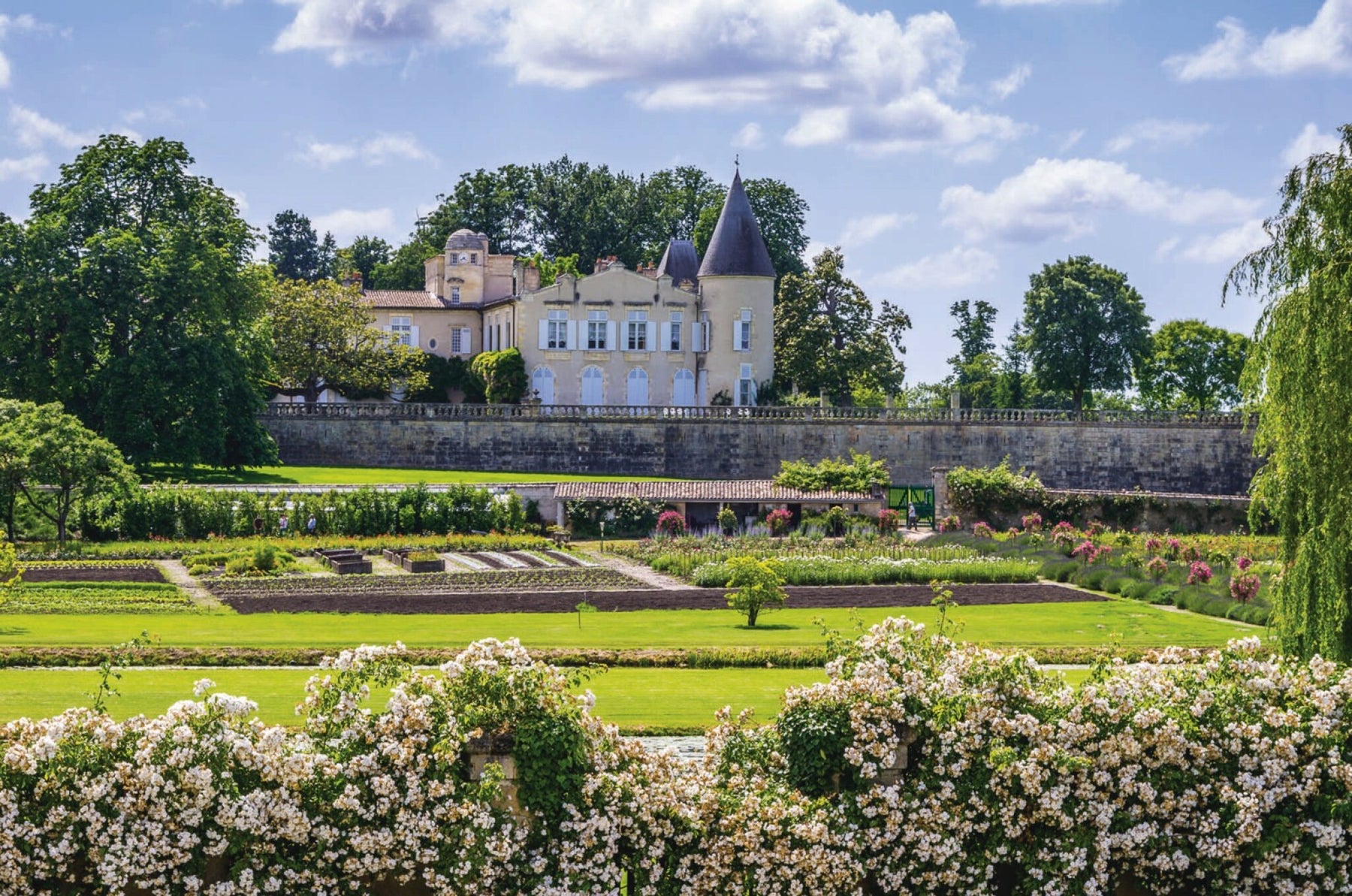 /collections/chateau-lafite-rothschild
