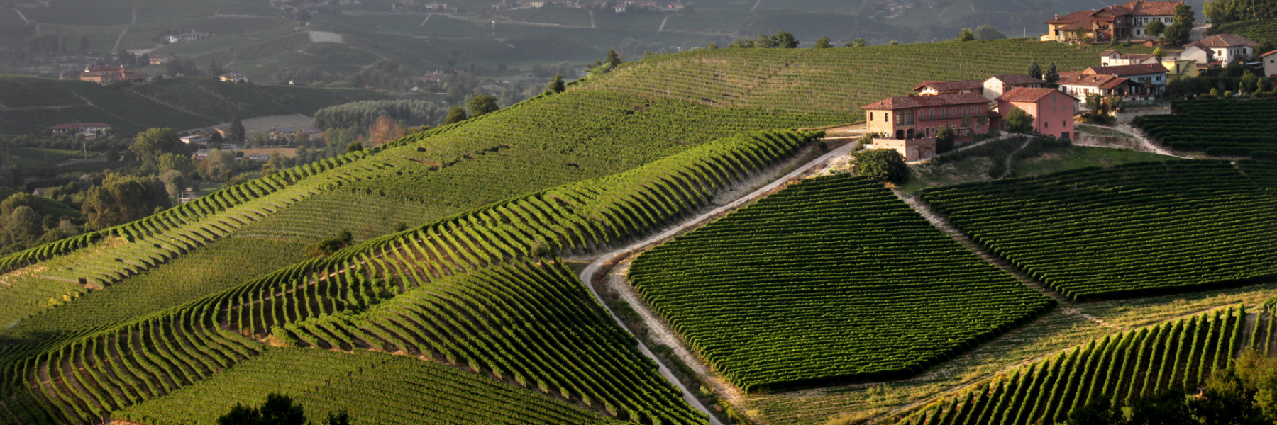 Antinori