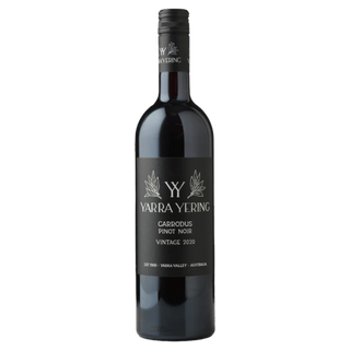 Yarra Yering Carrodus Pinot Noir 2020